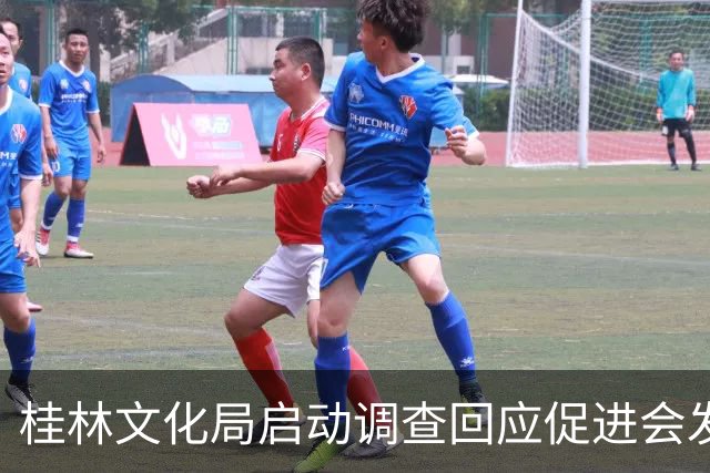 桂林文化局启动调查回应促进会发布不实声明